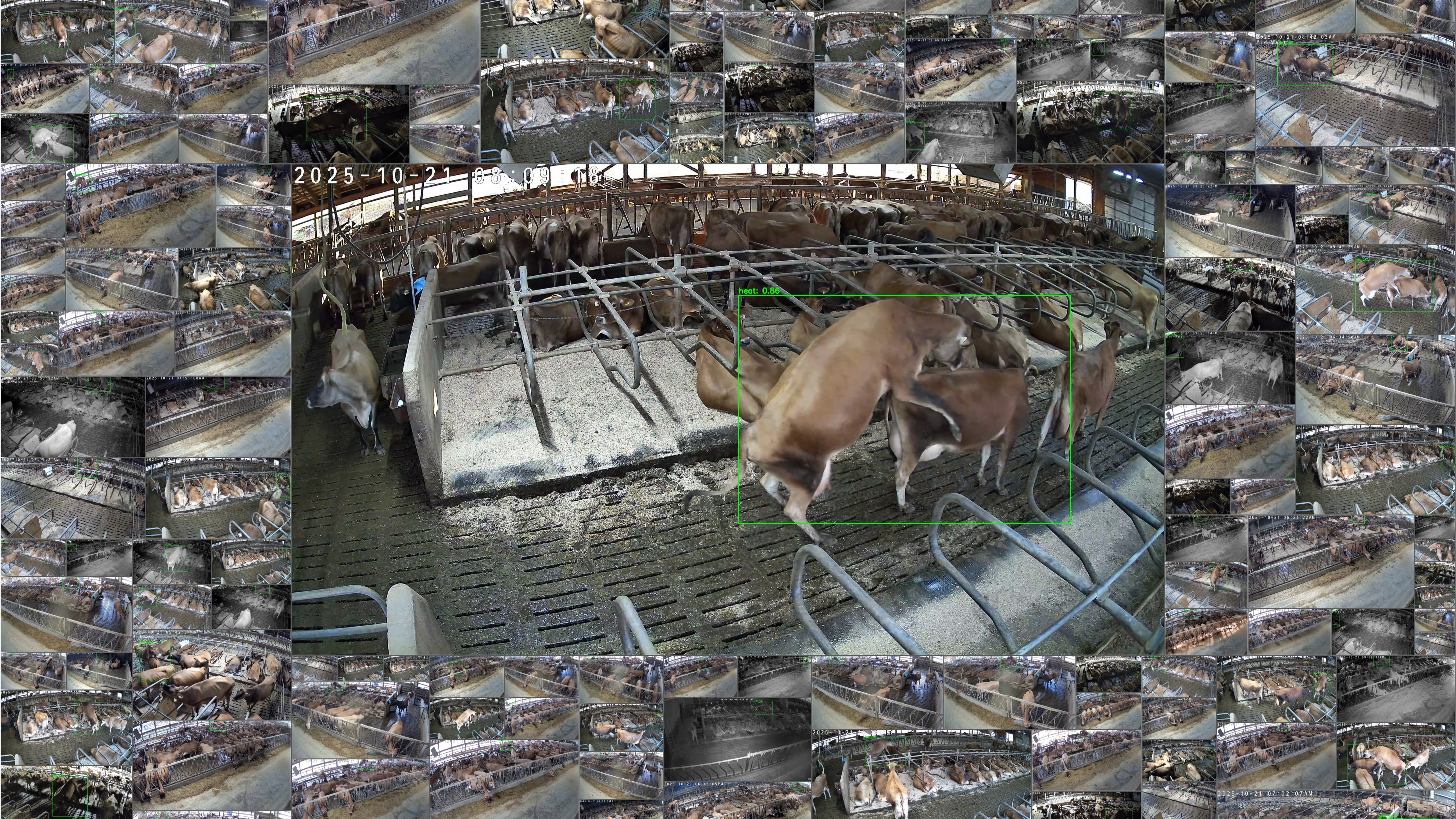 Stall Monitor Collage